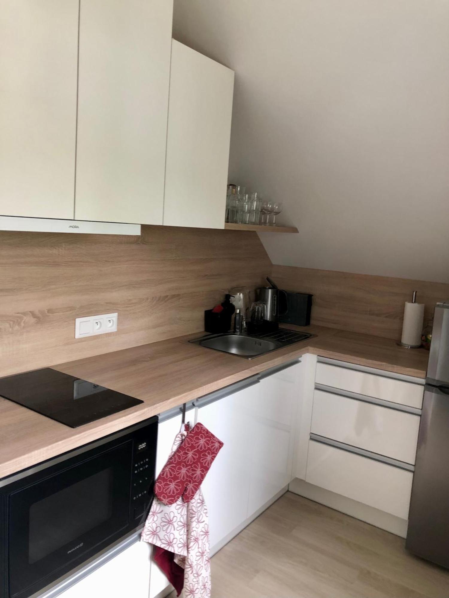 Apartman Krusne Hory - Erzgebirge Horni Blatna Exterior photo